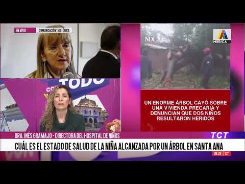 ¿Cuál es el estado de salud de la niña alcanzada por un arbol en Santa Ana?