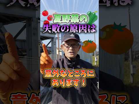 冬に堆肥が湿りすぎるのはなぜですか?原因と解決策！  庭園