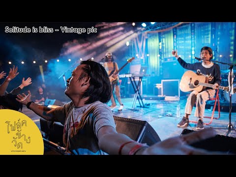 Thumbnail for SOLITUDE IS BLISS - Vintage pic (LIVE 360° Video) "โฟล์คข้างวัด" ครั้งที่ 2 by 360