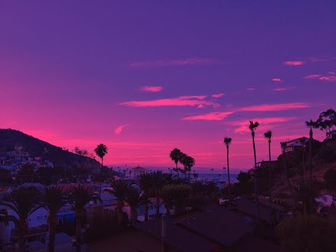 (FREE) Playboi Carti x Adrian x Pierre Bourne Type Beat "Rise"