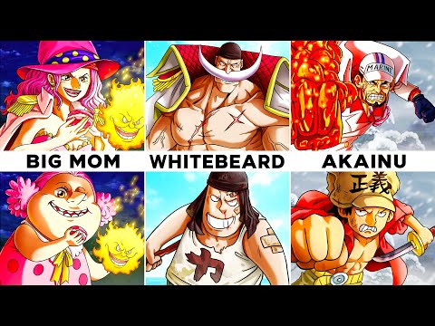 All 82 Backstories in One Piece Explained