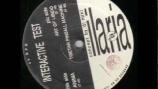DJ MIKI The Dolphin Feat. Ilaria - Anima