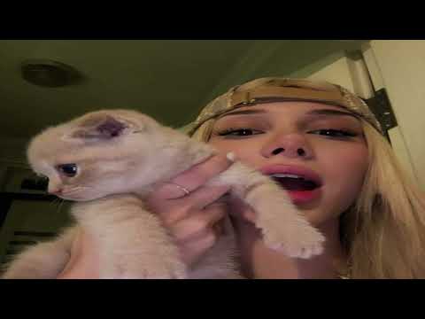 Keskin X Merdov - Havada Karada(Bass Boosted