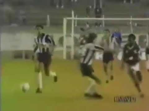 Dener Augusto (Portuguesa) - 14/11/1991 - Portuguesa 1x0 Inter de Limeira - 1 gol