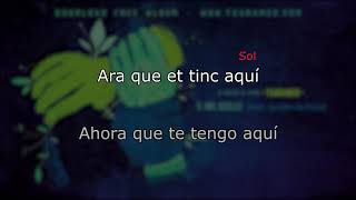 Mil ocells - Txarango (feat Jarabe de Palo) - Lletra en català, letra en español, acordes guitarra