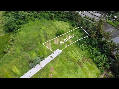Tranquil 8,30 Are Freehold Land in Tanah Lot