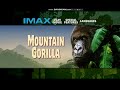 Opening To Imax Mountain Gorilla 2002 DVD