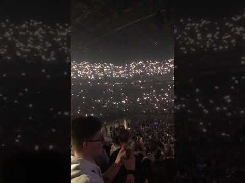Palmen aus Plastik 2 - Lichter Lanxess Arena