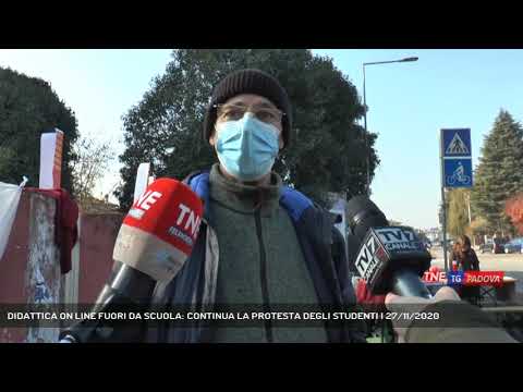 DIDATTICA ON LINE FUORI DA SCUOLA: CONTINUA LA PROTESTA DEGLI STUDENTI | 27/11/2020