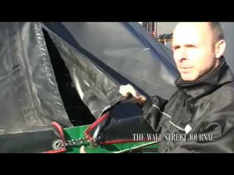 Norwegian Fish Farmers Try to Revive Atlantic Cod