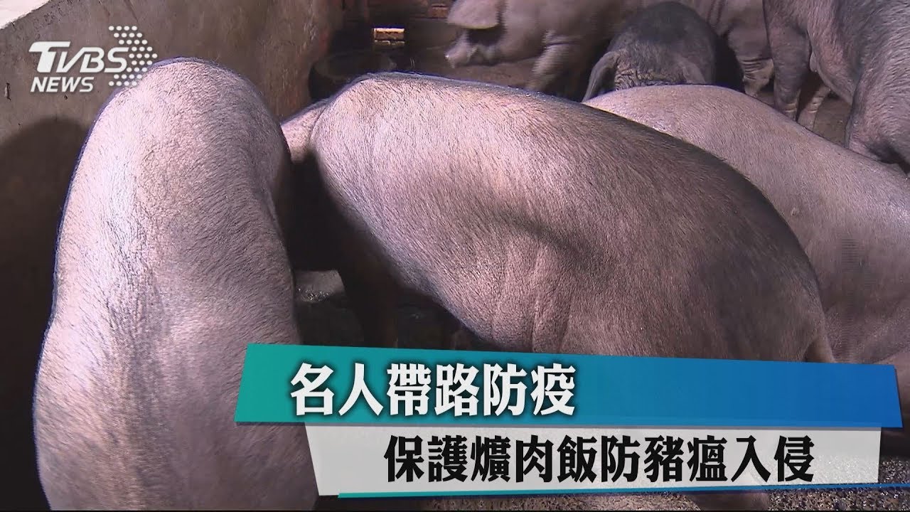 名人帶路防疫 保護爌肉飯防豬瘟入侵