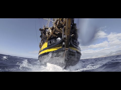 Ancora - Word Zeeman (Officiële videoclip)