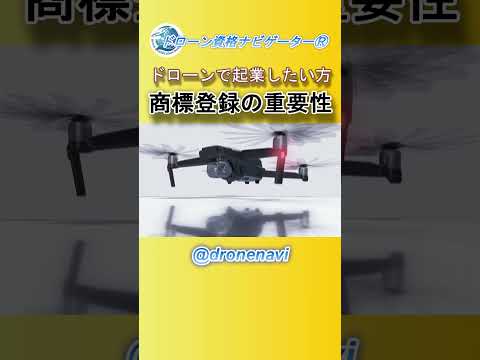 暫定 MALE ドローン システム - 定義