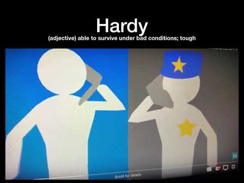 capozzi vocab video week 9