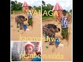 WALAGA LUKWAJA KAONYESHWA PEMBE NASIDA 13 2 2024