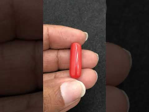 Italian Red Coral Stone