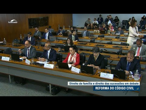 Direito de Família e das Sucessões divide comissão de atualização do Código Civil