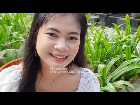 BTS  Podcast SANTI SURYANI AP Bareng JTV