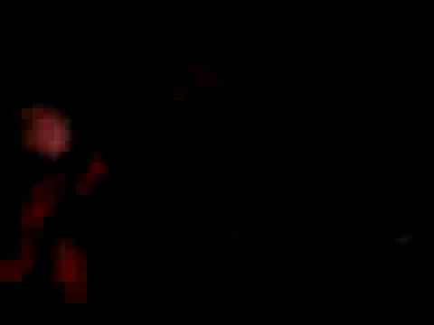 Waxdolls at DOUR Festival 2008