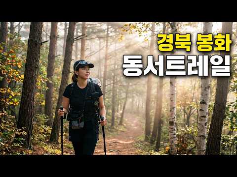 올가을 꼭 걸어야 할 아름다운 길