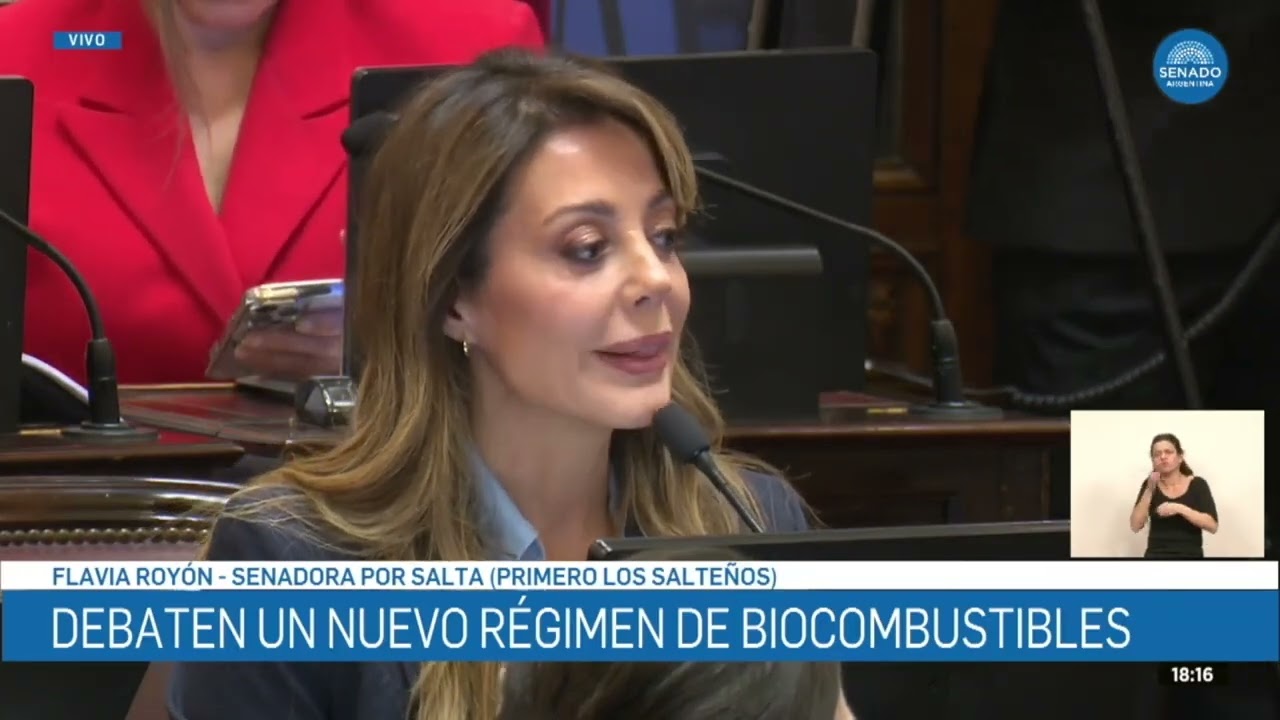 Royón: “Argentina prácticamente no va a necesitar importar naftas ni diésel”