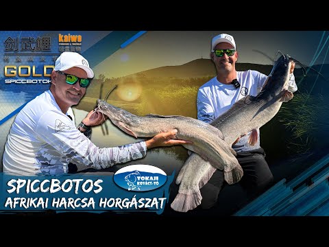 Sipos Gábor - Spiccbotos afrikai harcsa horgászat