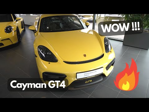 GT4 Porsche 718 Cayman (982). Porsche 2023.