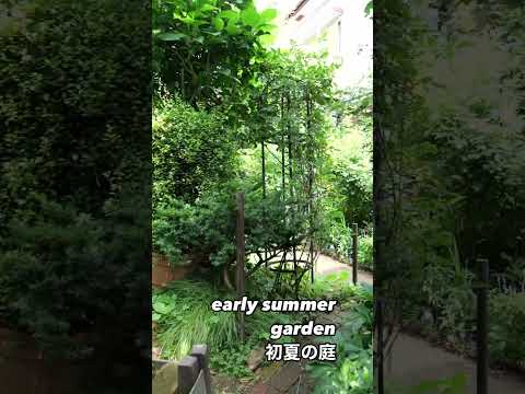 地中海の庭園デザイン – 植物と花のアイデア  庭園