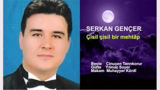 SERKAN GENÇER Çisil çisil bir mehtap