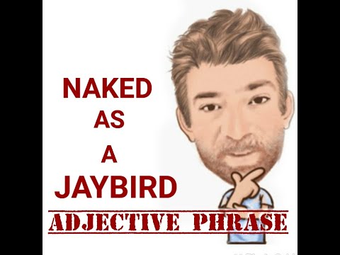 English Tutor Nick P Adjective Phrase (116) Naked As a Jaybird - Origin