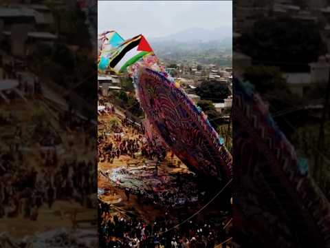 Palestinian Flag Raises Solidarity at Guatemala's Giant Kite Festival #palestinesolidarity🇵🇸