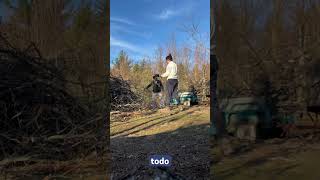 Limpiando el Sitio