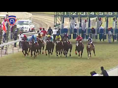 RM28 R6 - Wild Horizon