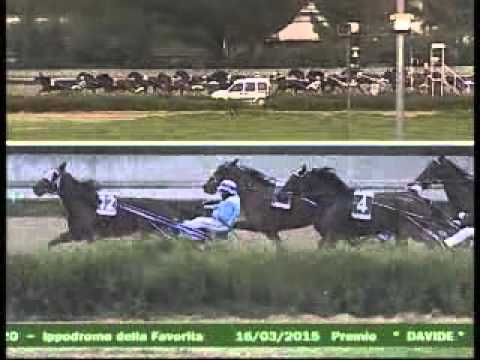 5° CORSA  del 16 MARZO 2015