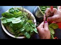 HOW TO CLEAN AND CUT SPINACH OR PALAK