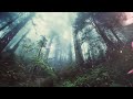 2 Hours Of Aesthetic Tamil Lofi Indian Lofi Songs To Chill Study Relax And Enjoy