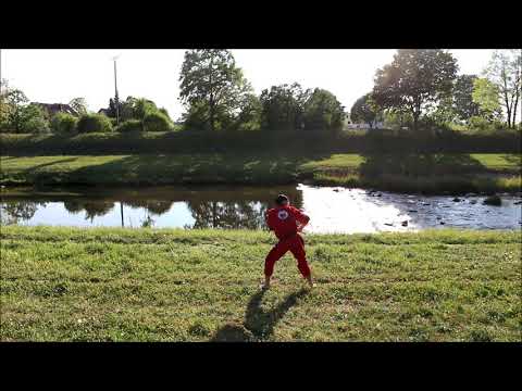 Anyo Lima Kombatan Solo Baston  (Form #5)