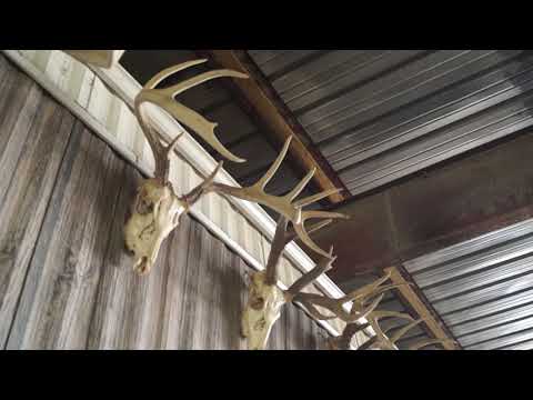 Archive 21 Video thumbnail