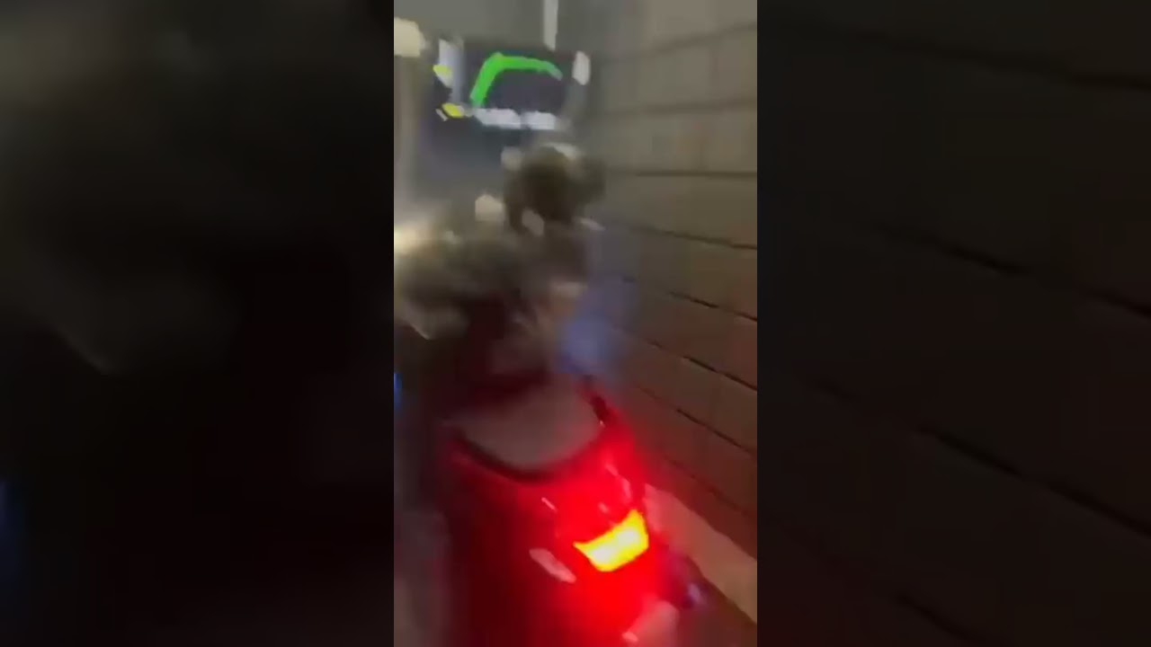 แรงทะลุไดโน่#funny #fyp #รถซิ่งไทยแลนด์