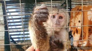 Nature or fake. What should we do....