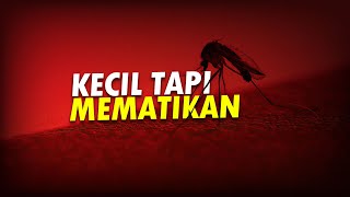 Download lagu Mengamuk Karena Nyamuk 🦟 #AlamSemenit mp3 Download lagu Mengamuk Karena Nyamuk 🦟 #AlamSemenit mp3
