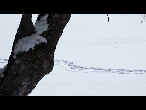 Bande-annonce | CEUX DE LA NUIT de Sarah Leonor