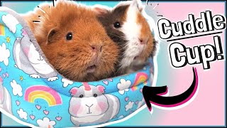 How to Make Your Own Guinea Pig Cuddle Cup Beds: Tutorial and Sewing Pattern!