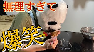 【ところてんチャレンジ】吹き出さずに食べれるやついる？？無理過ぎて爆笑！