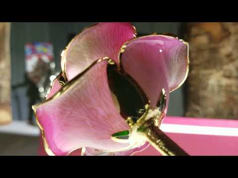 24k gold preserved rose by merisny