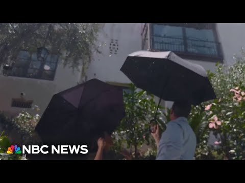 California homeowners struggling to find wildfire insurance may have a new option