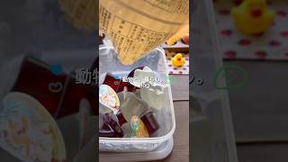 お久しぶりデス🫠#vlog #田舎暮らし #日常vlog #古民家暮らし #猫