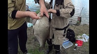 Где на белоярке ловят леща с берега