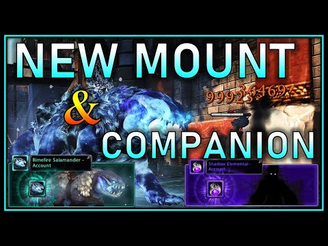 Testing NEW Mount & Companion | Worth to Get them? Stealth Lockbox - Neverwinter Mod 21