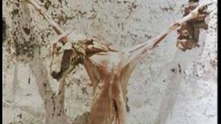 El Ritual - Bajo el sol y frente a Dios